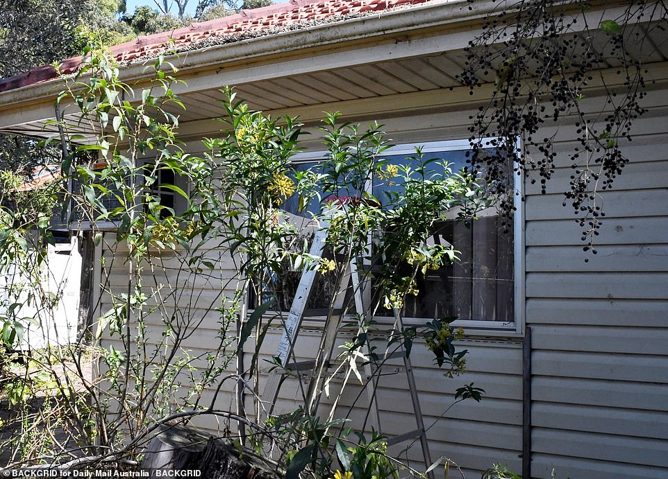 The now abandoned Sydney house (above) is set to be demolished after being occupied by 14 children for years and allegedly abused by their parents, aged 56 and 44