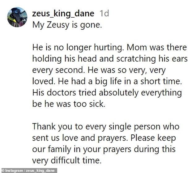 Zeus' owner announces his death on Instagram