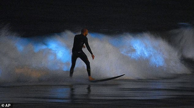 A group of surfers grabbed their boogie boards in Huntington Beach and took to the open water to experience the glow of the Pacific Ocean for themselves