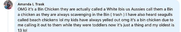 Ann Australian Bluey fan explains that a 'bin hen' is a native bird called an Ibis.