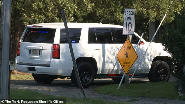 Graham left the baby and dog in the car with the windows open at 8 a.m.  Around 2:30 PM she 'woke up' and went outside to look at the dog and the baby.  Both were already dead by then