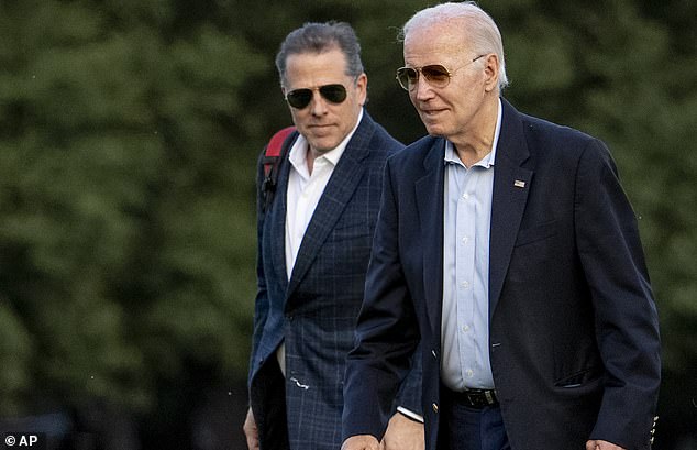 Democrats usually come to Biden's defense when it comes to claims against the president — but now appear to be turning on Hunter because the gun-related charges do not involve his father