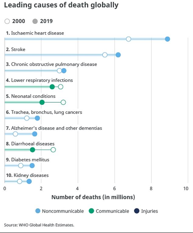 The above shows the leading causes of death worldwide in 2019, according to the World Health Organization