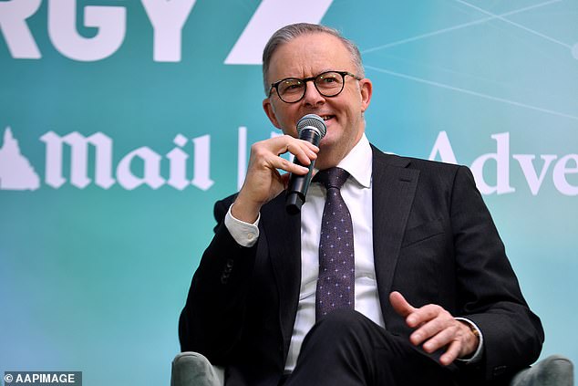 Prime Minister Anthony Albanese (pictured) has repeatedly said the Voice will be an advisory body to Parliament that will enable First Nations people to be involved in a discussion about the laws that affect them and what is needed in their communities.