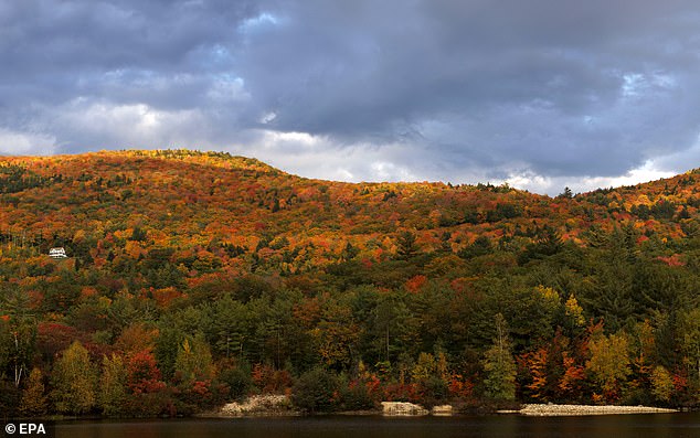 Autumn foliage shows changing colors in Woodstock, New Hampshire, USA last October.  Due to climate change, fall in the US will start earlier than last year