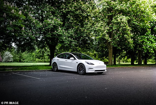 Experts say new entrants to the EV market are putting pressure on brands like Tesla, while the automaker's cars are still relatively expensive - the price of the Model 3 recently rose to $61,900