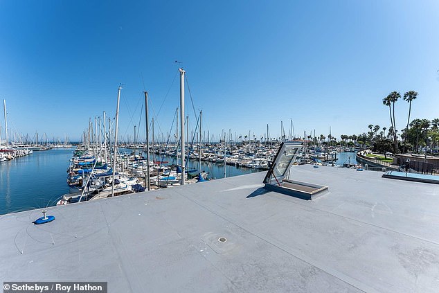 The roof terrace has access to miles of views with palm trees lining the horizon