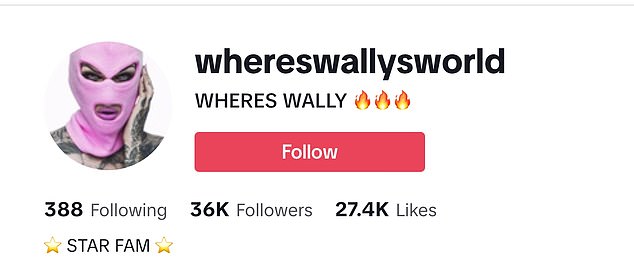 Until Thursday, Assaad's TikTok account WheresWallysWorld, which has more than 36,000 followers, used a photo of Mr Star wearing a pink balaclava as his profile picture.