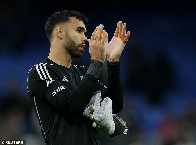 David Raya enjoyed a solid Arsenal debut at Goodison Park after joining from Brentford