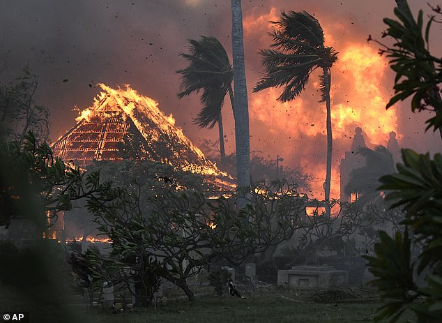 About 115 people are believed to have died in the Maui wildfires that destroyed parts of the island, including the historic Old Town of Lahaina, in early August this year.