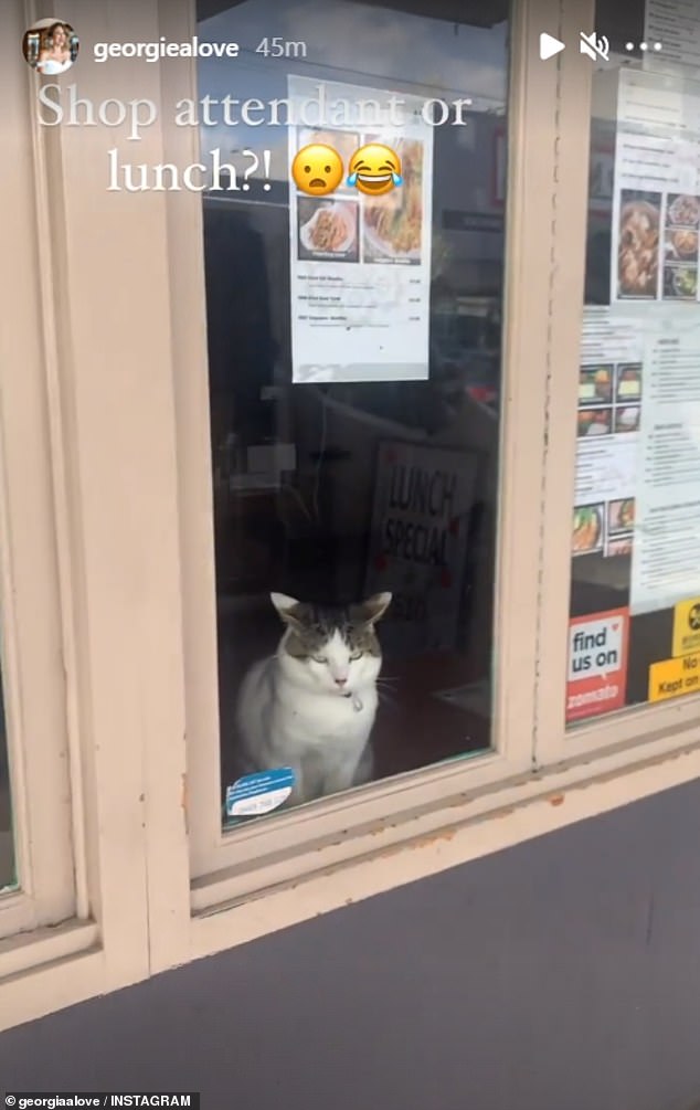 Georgia sparked backlash in September 2021 for sharing images (above) of a cat behind the window of an Asian restaurant, writing: 'Store clerk or lunch?!'
