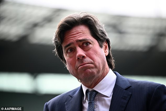 AFL chief executive Gillon McLachlan said security was wrong to send her away