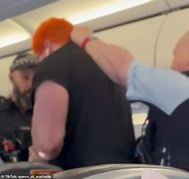 In the photo: Martin is dragged off the plane on Saturday