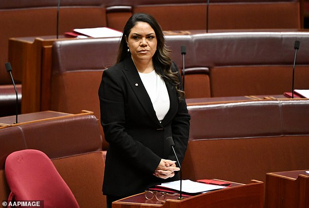 Anderson said LNP Senator Jacinta Price pointed out the real and unrecognized problems facing Indigenous people