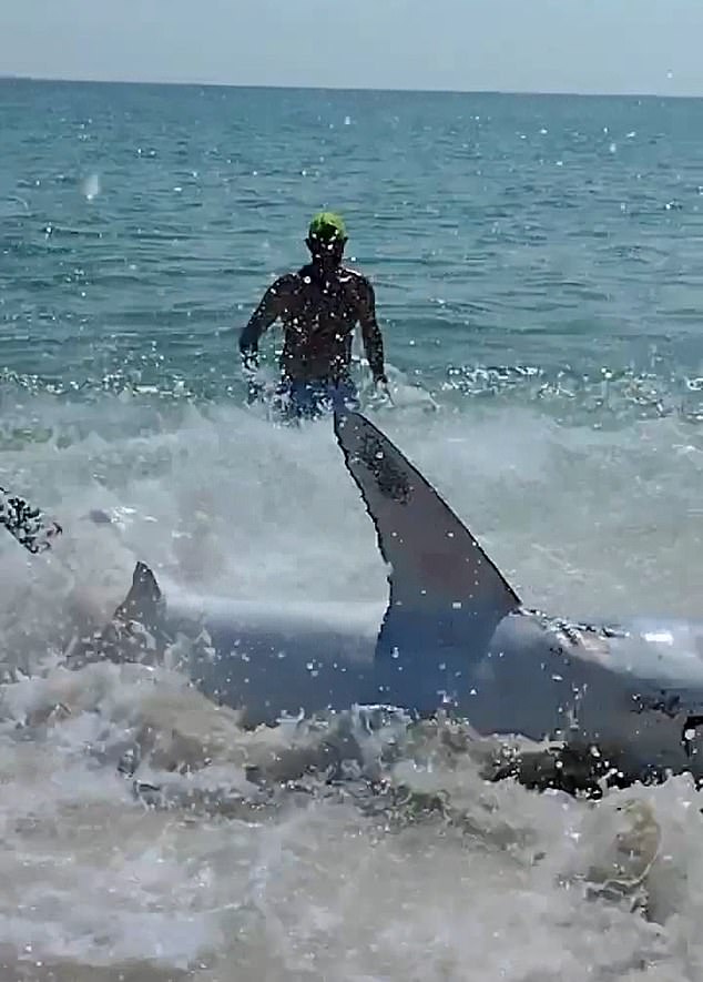 One of the most daring rescuers remains in the water while the others flee to the safety of the shore