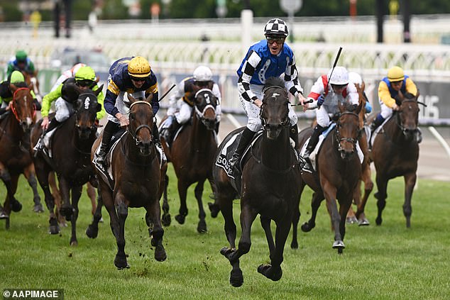 Aussies are known for betting staggering sums on the race that stops a nation - but a bookmaker says the event has a new rival when it comes to punting (Picture: Gold Trip wins the 2022 Melbourne Cup)