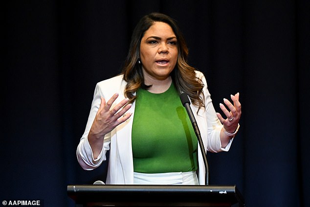 Shadow Minister for Indigenous Australians Jacinta Nampijinpa Price (pictured) is one of the leading figures in the No campaign, which is proving highly effective