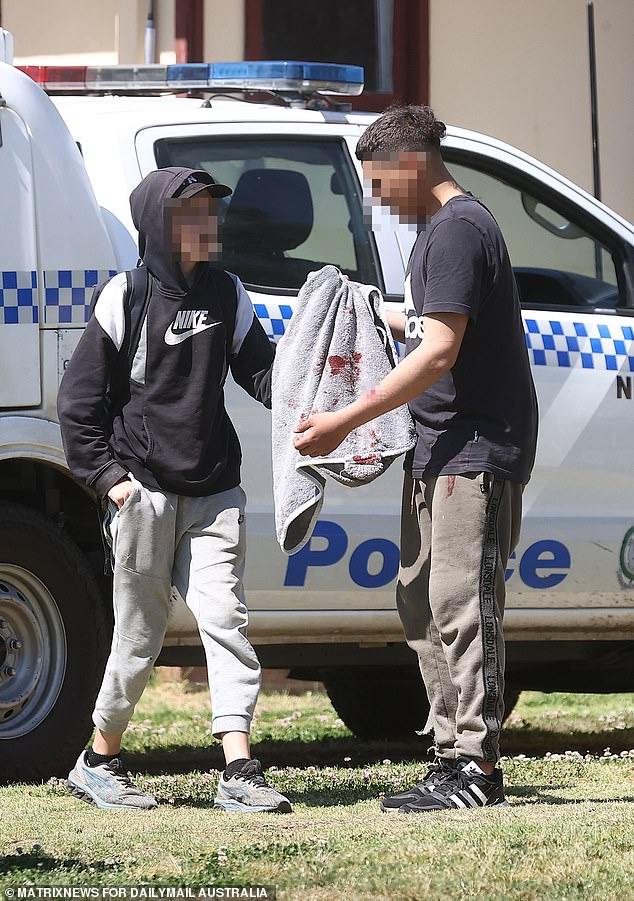 The 15-year-old (photo right) suffered deep wounds to his forearm during the attack