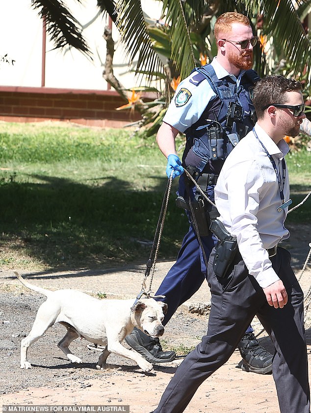 Another of the six dogs living on the property escaped shortly before the owner could lead the dog into the house