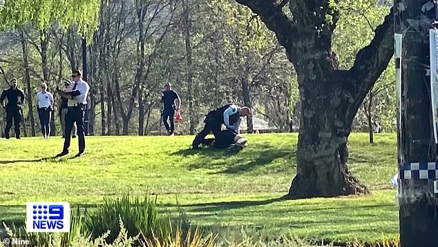 Photos show the dramatic arrest of 24-year-old Alex Ophel, accused of carrying out stabbings on the ANU campus in Canberra