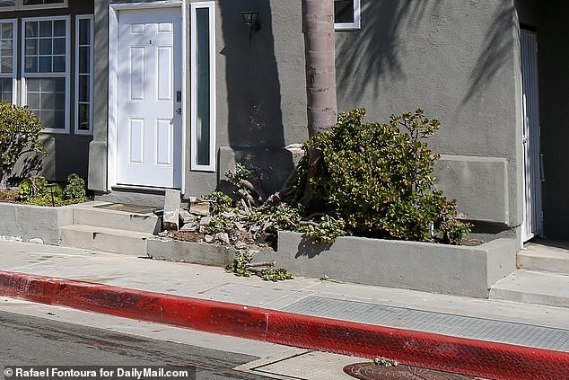 Shannon fled the scene after cutting down the side of the house (seen here) and was arrested at her home