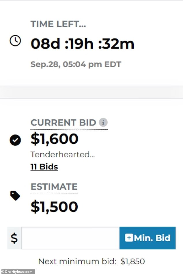 Highest bid is $1,600!  The Charity Buzz auction ends September 28 for Rita Ora's video vixen to follow a fan her team approves for a 