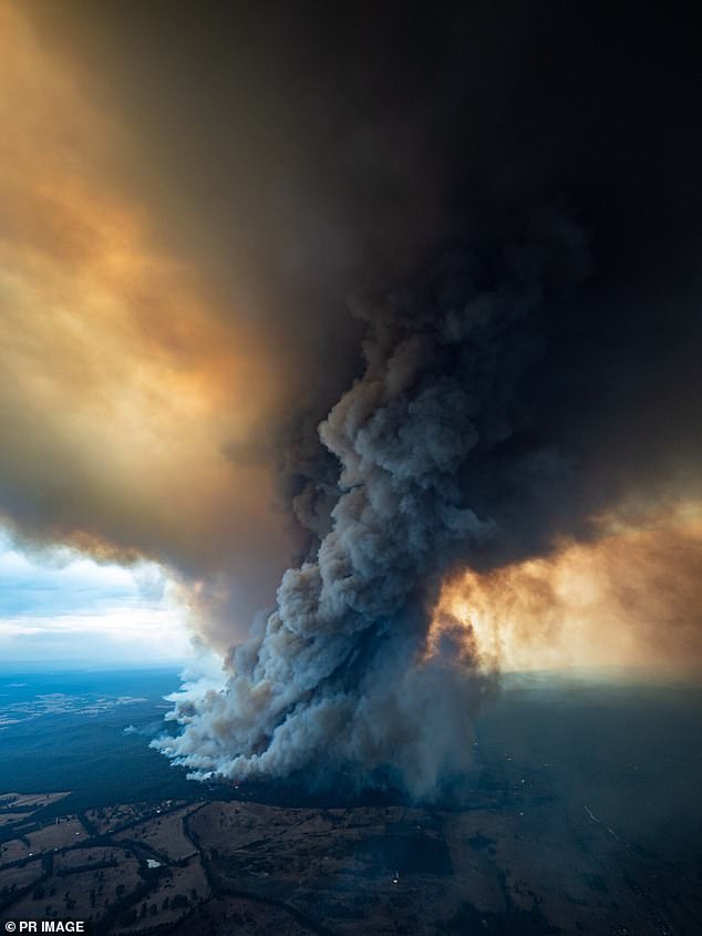 Conditions are looking perfect for another possible black summer, just four years after Australia was ravaged by devastating bushfires in 2019 and 2020.