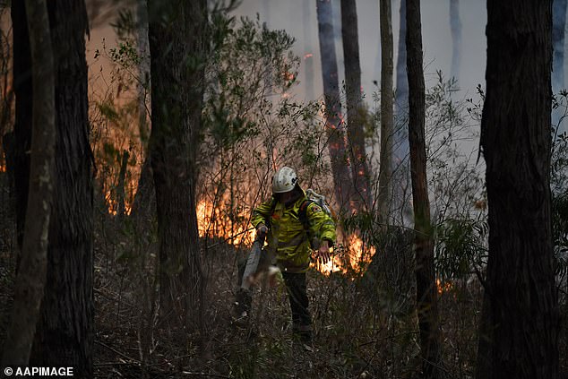 The weather warnings come after the northern hemisphere experienced a series of natural disasters and devastating heatwaves this year.