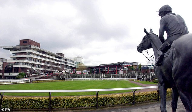 Constitution Hill won't try to emulate Dawn Run, who now has a bronze statue in Cheltenham