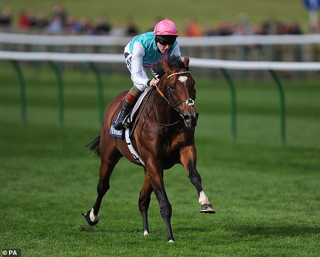 Constitution Hill has a similar aura to Frankel (above) who won 14 consecutive races