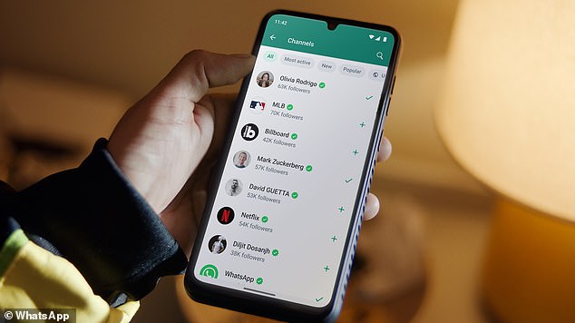 WhatsApp channels allow you to privately follow people, organizations, sports teams, artists, and thought leaders you want to get updates from.