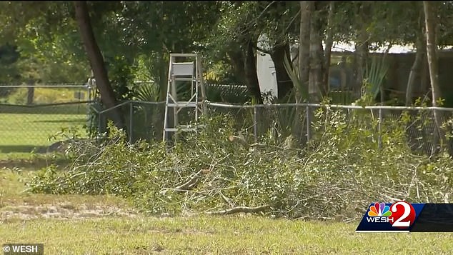 He was cutting tree branches on a fence between properties.