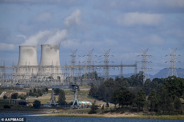 Stephen Cenatiempo was outraged on Tuesday by the surge in energy prices.  Pictured are the cooling towers at the Bayswater coal-fired power station in the NSW Hunter Valley.