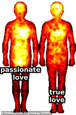 Passionate love was seen as the most powerful of all, impacting the entire upper body, brain and groin when showing head.