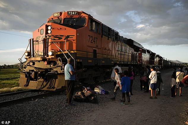 Ferromex, Mexico's largest railway company, announced it was suspending the operation of its freight trains due to the massive number of migrants illegally hitchhiking on its northbound trains to the border.