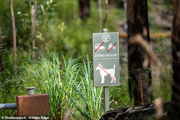 Dogs are not allowed in national parks that are considered Commonwealth lands, under the Environment Protection and Biodiversity Conservation Act