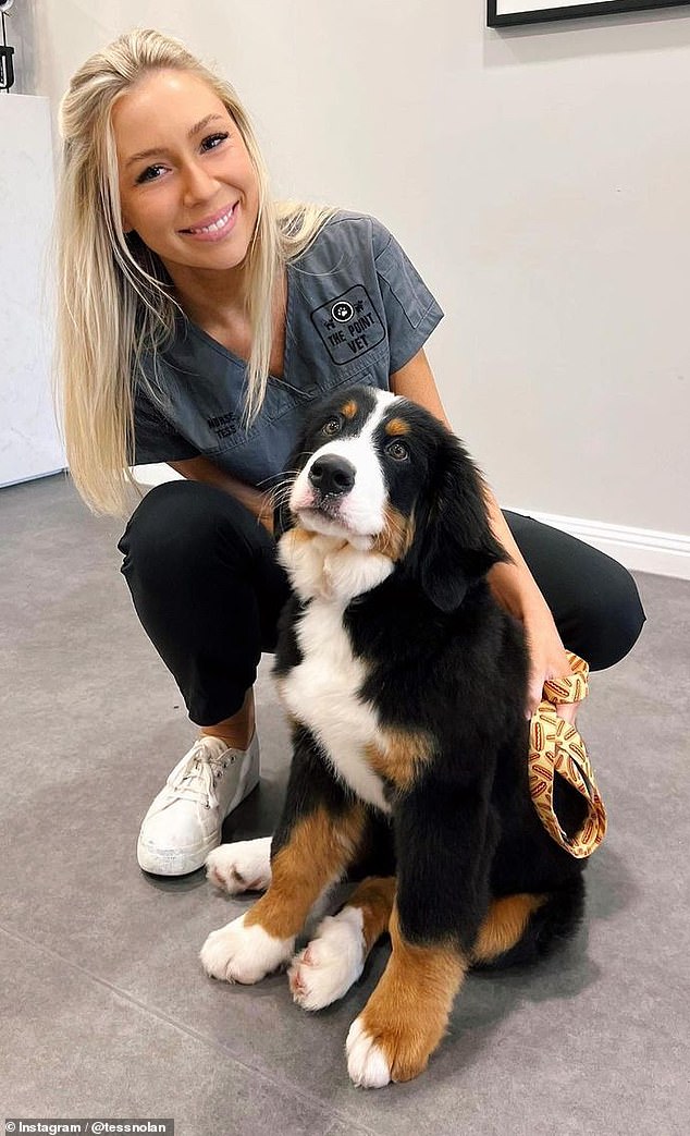 'Bernese Mountain Dogs love being close to their owners and can suffer from separation anxiety if left alone for too long,' an animal expert has revealed