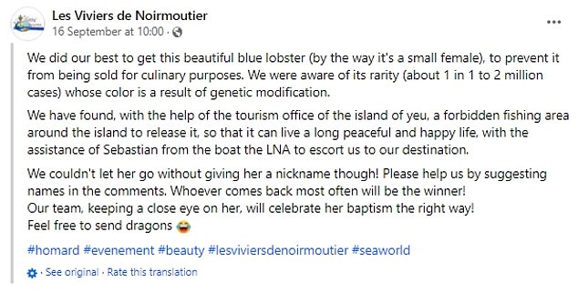 Fishmongers have asked Facebook users for help in coming up with a suitable nickname for the lobster