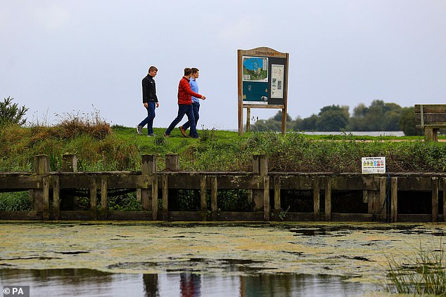 Harmful algae blooms covered large parts of Lough Neagh in Northern Ireland last summer