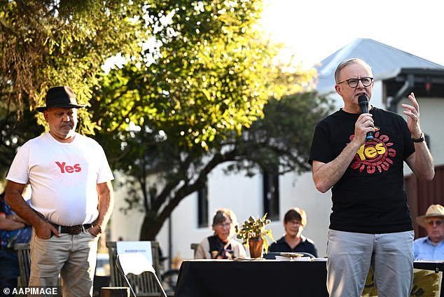 She took aim at the Yes campaign, claiming those who supported an Indigenous Vote were 'wrong' (photo: Prime Minister Anthony Albanese (right) and Noel Pearson (left) campaigning for the Yes vote in Summer Hill )