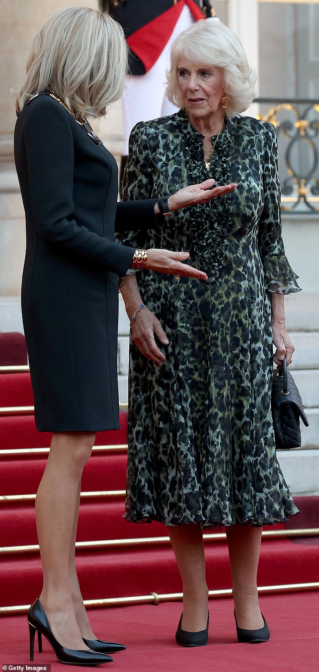 France's First Lady (pictured, left) is photographed as if she were talking to the Queen (pictured, right)