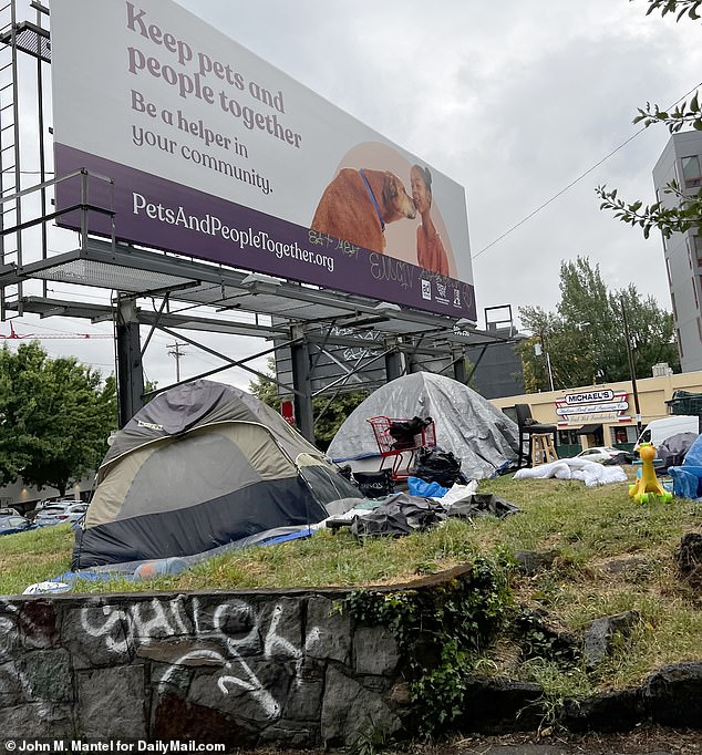 Portland residents have complained of waking up to find tents in their front yards and have reported seeing drug dealers on street corners