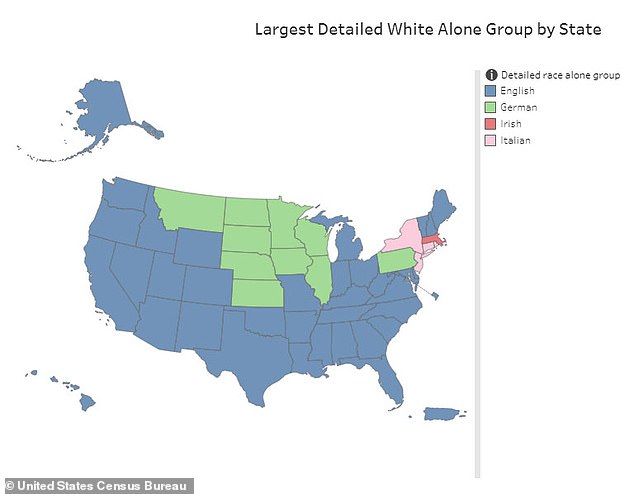 Of the 130 million white Americans, 46.5 million identify fully or partially as English, a similar number to those who categorize themselves as German