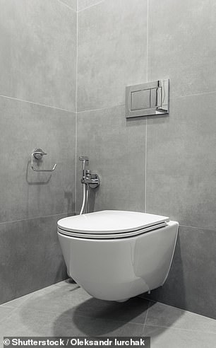 Many have difficulty getting used to using the toilet without the help of a bidet to wash up afterwards