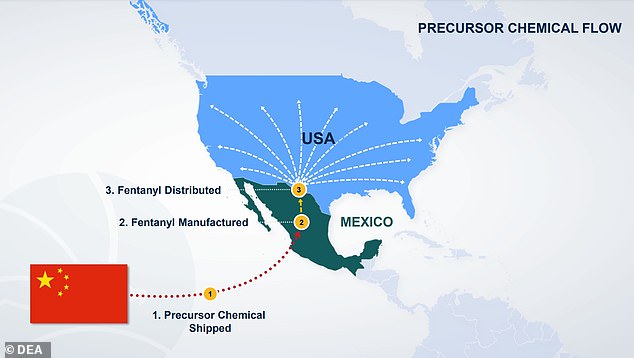 U.S. prosecutors allege Los Chapitos receives precursor chemicals to produce fentanyl from China and then manufactures it in clandestine labs in Mexico before smuggling it into the United States