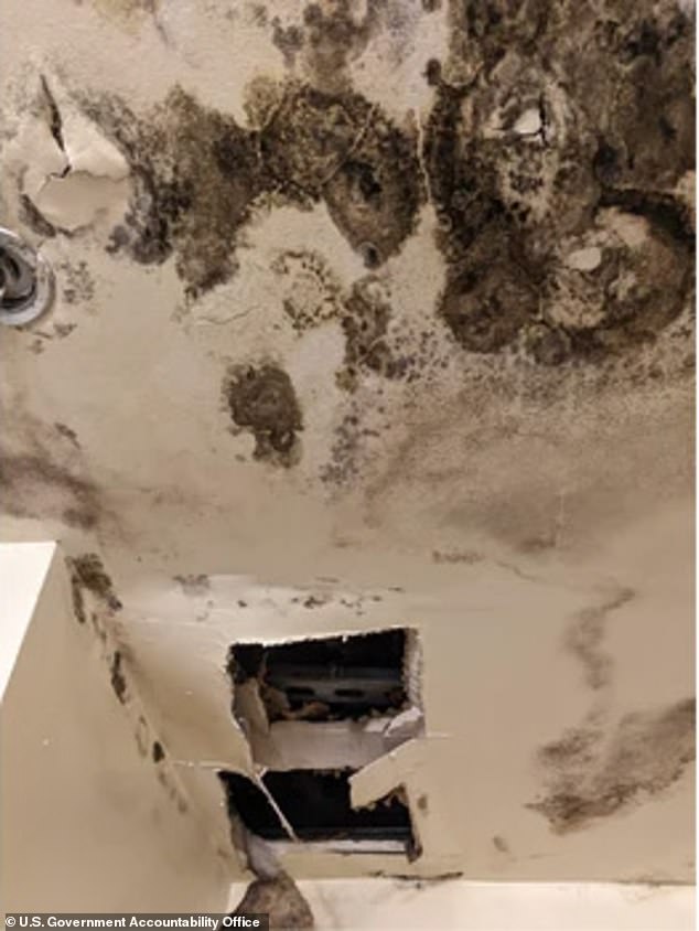 Mold was prevalent in five of the facilities visited by researchers