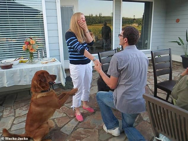 P-awww!  Posted on US forum Reddit, this dog's owner revealed that the dog had actually begged his girlfriend to say 'yes'