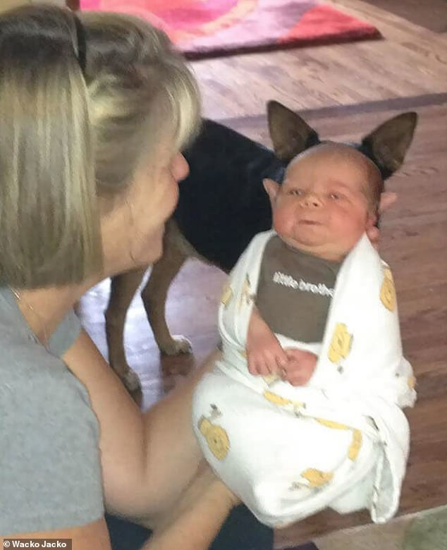 Photo Fail!  This is exactly the moment a dog stole the show when he decided to sneak up behind a baby during a photo