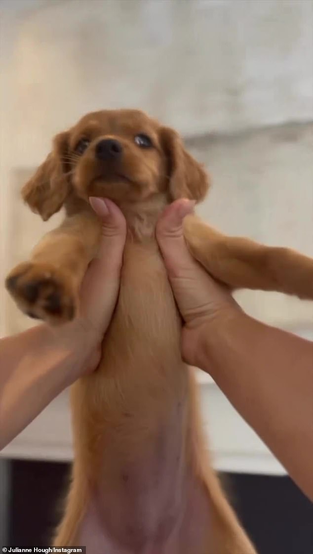 More looks: The Rock Of Ages actress continued the love-fest about her new addition in another clip she posted to her Instagram Story