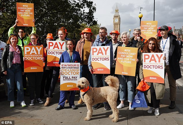 Pictured: NHS consultants and trainee doctors carry banners as they strike outside St Thomas' Hospital in London on September 20